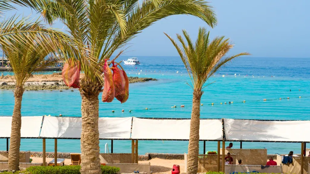 الفندق أرابيلا أزور - الغردقة